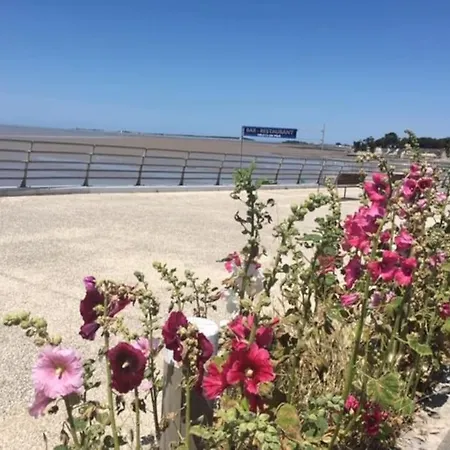 Le Petit Paradis En Bord De Mer Les Bains *