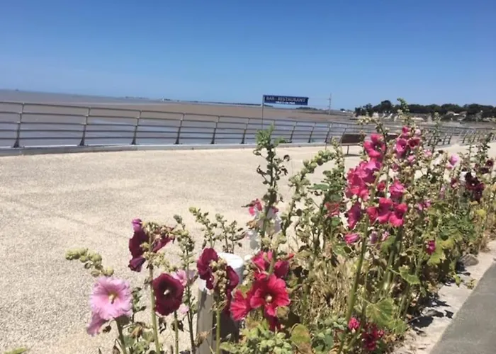 Le Petit Paradis En Bord De Mer Les Bains *
